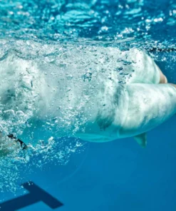 FINIS® VAPOR: RACE JOHN | TECHNICAL RACING SUIT 25 FINIS® VAPOR: RACE JOHN | TECHNICAL RACING SUIT